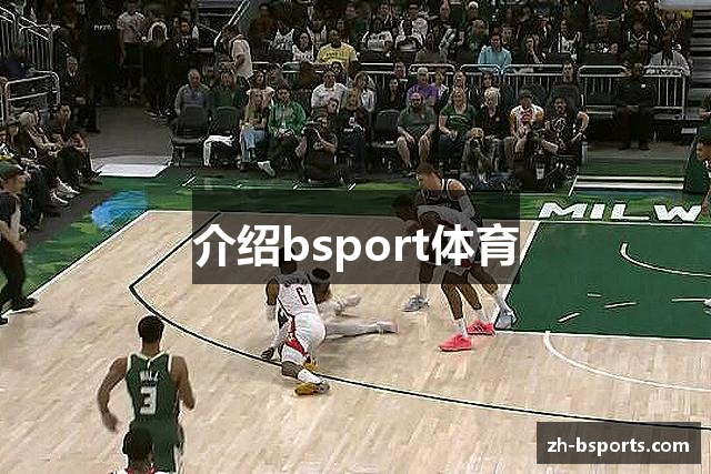 介绍bsport体育